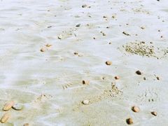 -嵊泗基湖沙滩