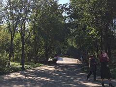 -大兴滨河森林公园