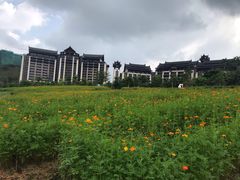 -清远熹乐谷温泉度假酒店