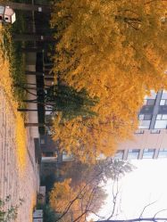 -平行宇宙普拉提健身