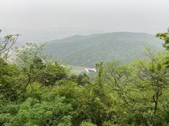 -惠山国家森林公园
