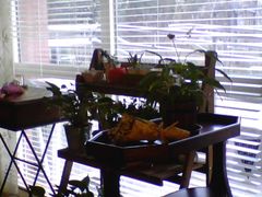 -Cafe Villa