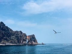 -海驴岛(荣成市)