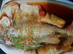 android_upload_pic-至潮餐厅精致粤菜·活鲈鱼·走地鸡(珠江新城店)