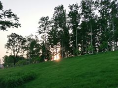 -坝河休闲公园