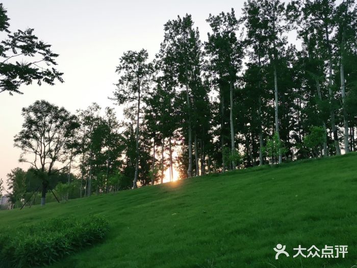 坝河休闲公园图片