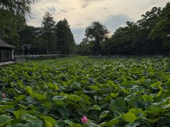 -采石矶景区