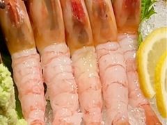 -鸟屯(三里屯店)
