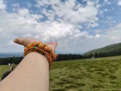 -芦芽山旅游度假区