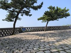 -小麦岛公园