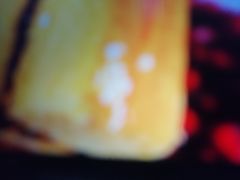 -禾匙素食自助(莱蒙都会店)