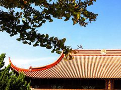 -苏州文庙(姑苏区)