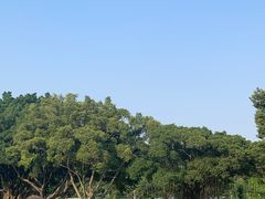 -东莞植物园