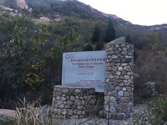-嵖岈山风景区