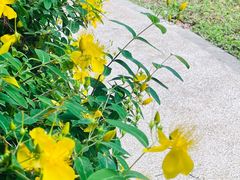 -同里国家湿地公园