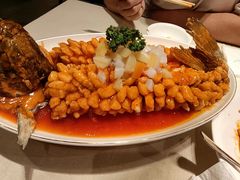 -普天和酒楼·新津菜·烤鸭(天津之眼店)