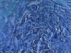 -丽江玉水寨