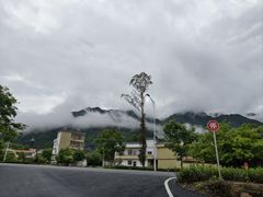 -广东大峡谷