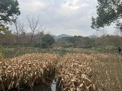 -西溪国家湿地公园