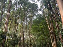 -南国桃园旅游度假区