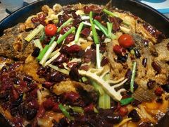 -老板恋上鱼(恒隆广场店)