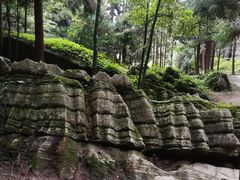 -梭布垭石林景区