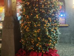 -龙泉人椰子鸡.糟粕醋.海南菜(三亚旗舰店)