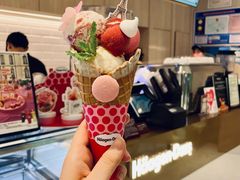 指尖风尚华夫筒冰激凌-哈根达斯(绍兴银泰店)