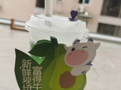 -一只酸奶牛(八一路店)