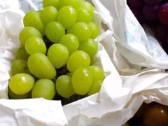 -马陆小张葡萄园农家乐