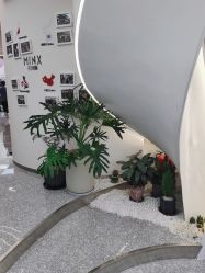 -MINX名珂斯·烫染形象设计