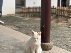 -西园戒幢律寺