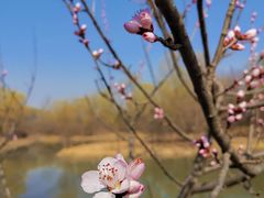 -奥林匹克森林公园南门-停车场