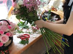 -双季花艺园艺市场(浦东店)