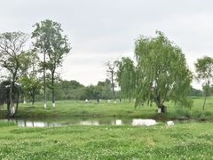 -良渚古城遗址公园
