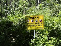 -白草畔自然风景区