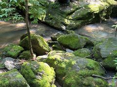 -香炉山国家森林公园