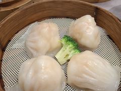 -东方御宴海鲜酒楼(棕泉酒店)