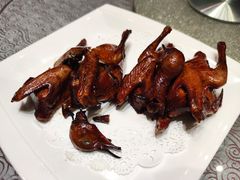 红烧乳鸽-淇乐多品味馆(江南大道店)