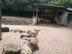 -无锡动物园·太湖欢乐园