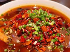 -向川南·水煮鱼·川菜(和平里店)