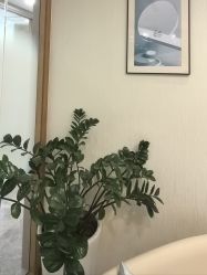 点击看大图 -智美品质医美
