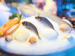 -广州富力君悦大酒店·凯菲厅