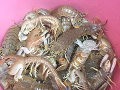 -宁波五龙潭景区