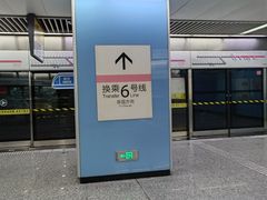 -大龙山(地铁站)