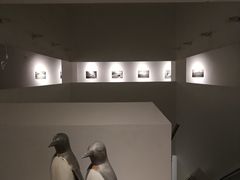 -上海油画雕塑院