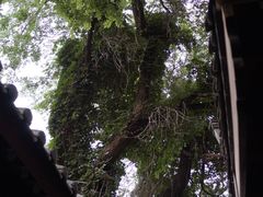 -鸡鸣驿古城