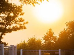 -抚顺煤矿博物馆