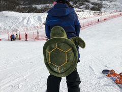 -太子岭滑雪场