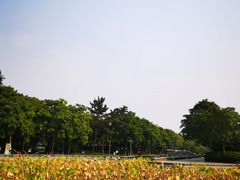 -蠡湖大桥公园